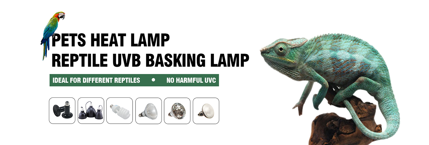 UVB lamp