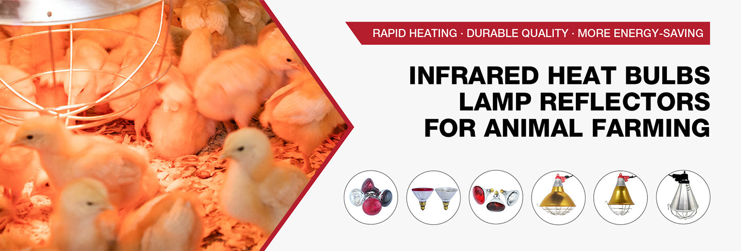 Infrared heat Lamp
