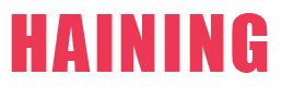 Haining Sailing Electrical Appliance Co., Ltd