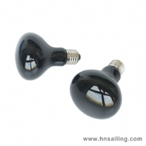 Black Moonlight Reptiles Incandescent Spot Lamps