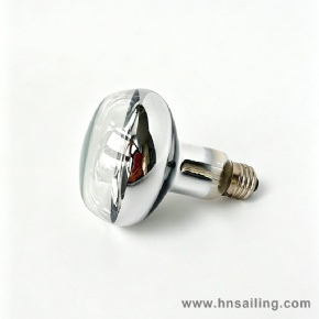 Daytime Clear Solar Basking Lamp Natural Daylight Heat Bulbs