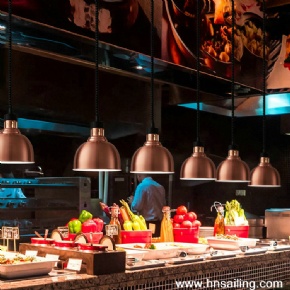 Luxury Commercial Buffet Infrared Food Warming Lamps for Restaurants
