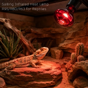 Small Size infrared Heat Lamps for Reptiles